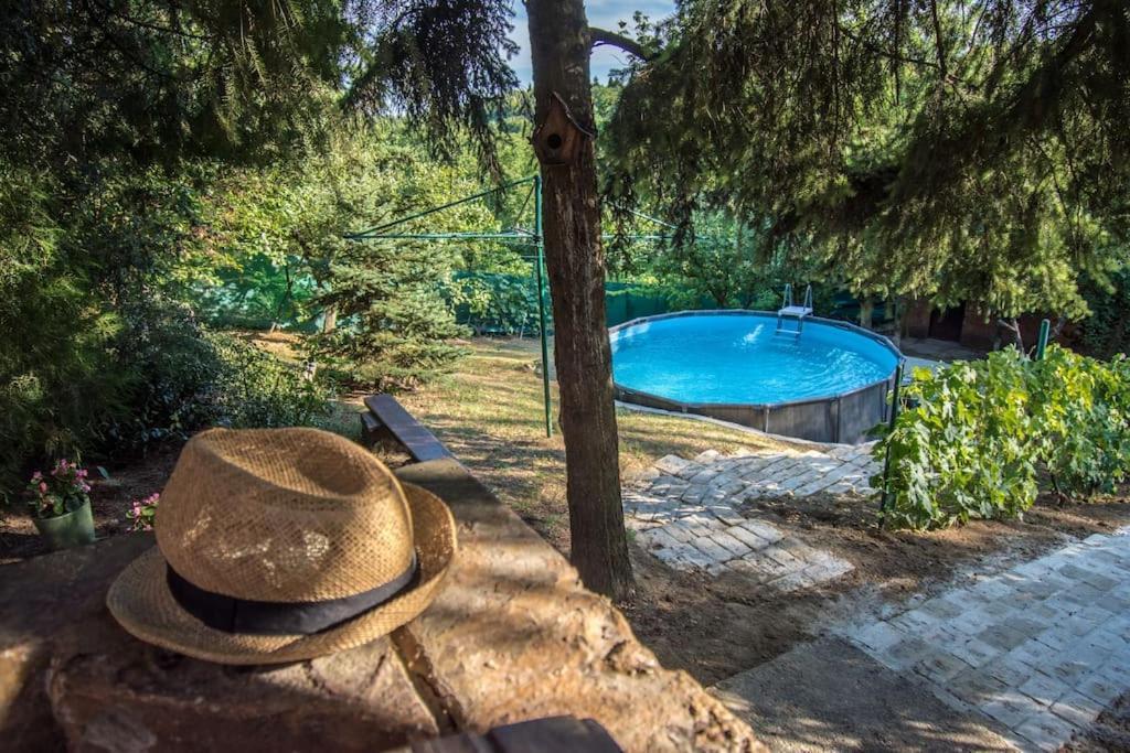 Willa Happy House Velika Remeta Zewnętrze zdjęcie