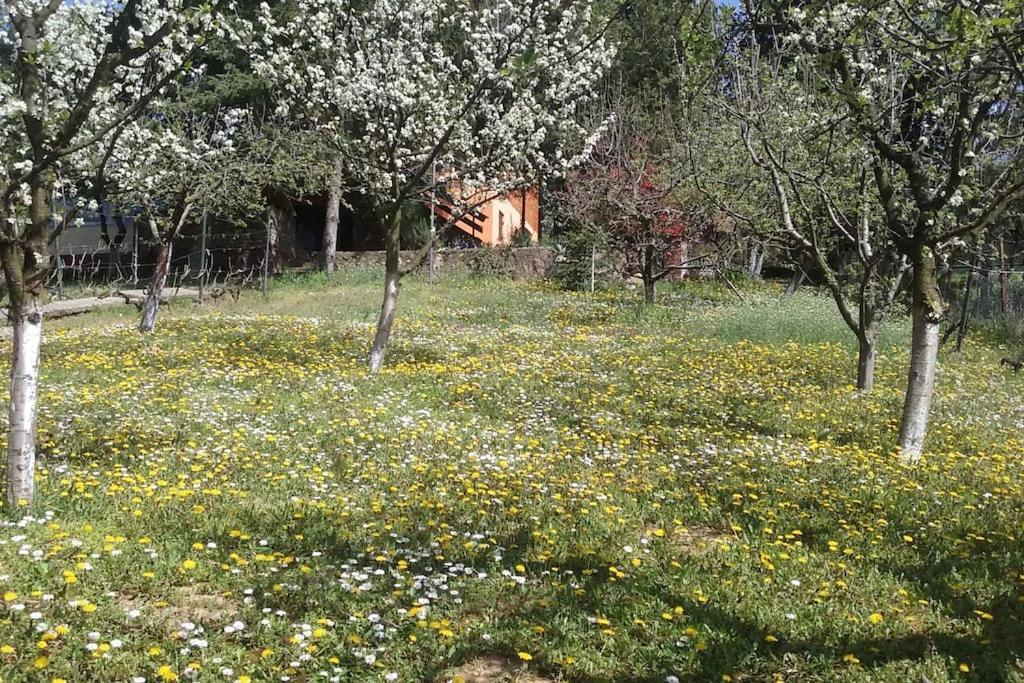 Willa Happy House Velika Remeta Zewnętrze zdjęcie